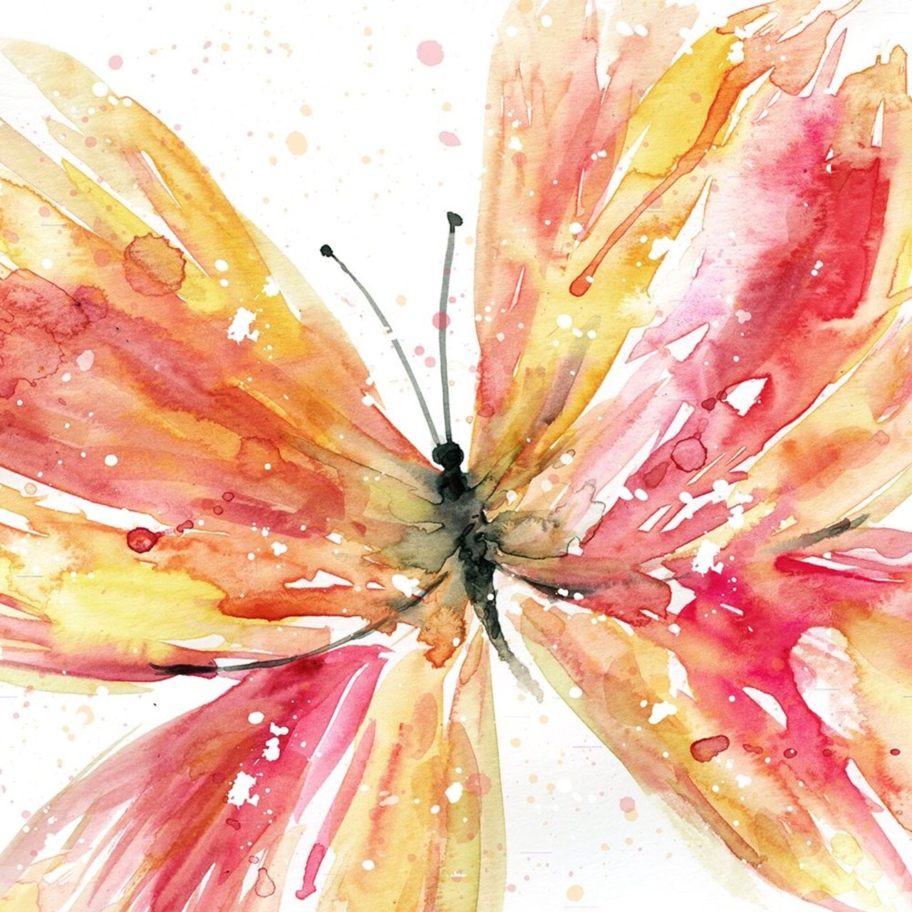 Butterfly Fling II Poster Print by Carol Robinson - Item # VARPDX41299